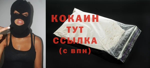 стафф Гусь-Хрустальный