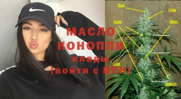 молекула духа Дмитровск