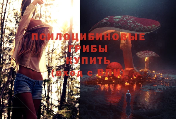 мяу мяу кристалл Дмитров