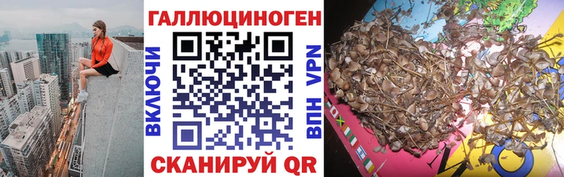 Галлюциногенные грибы ЛСД  Купить закладки  Тимашёвск 